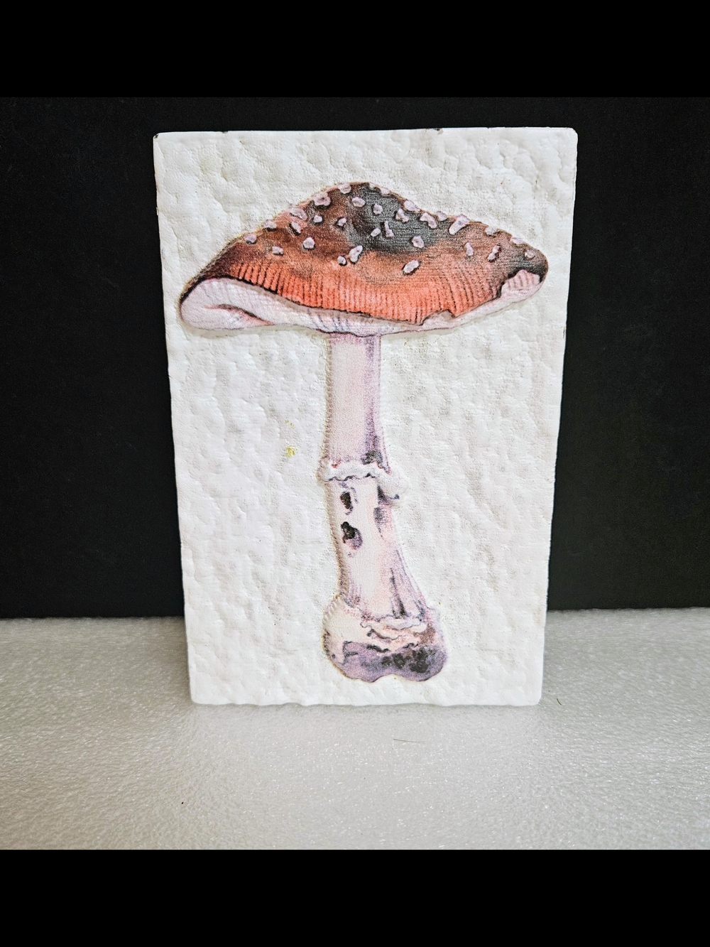 Mushroom Wood Shelf Sitter Decor